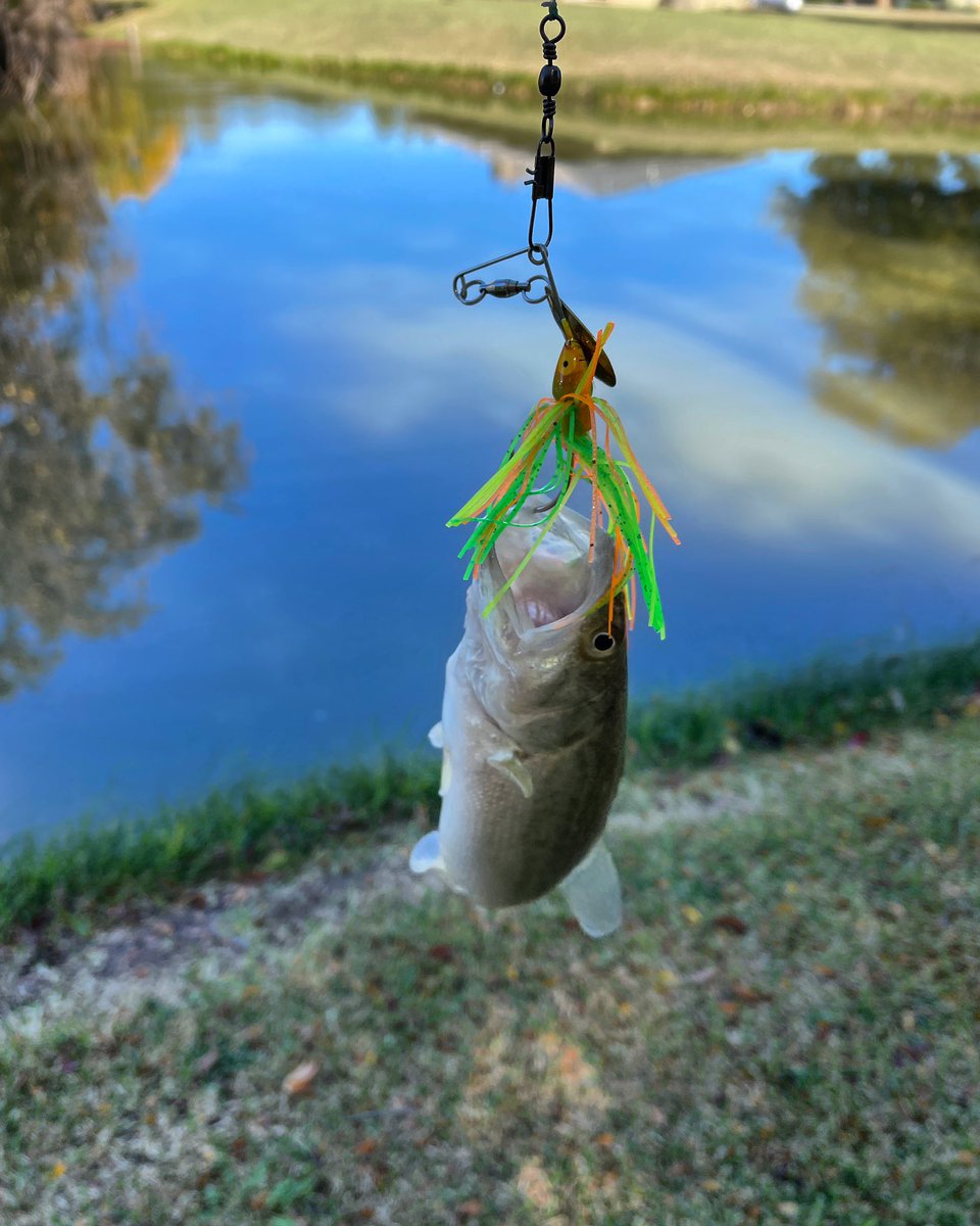 DksOutdoors's tweet photo. Just a little guy.π£ Still counts. ππΌ
https://t.co/9JNwzF250w
#goodtimes #bassfishing #texas #lakeviews #TexasViews #fishing #LakeLewisville #bass #texasbassfishing #anglerlife #beautiful #dallaspondhopping #fish #nautre #anglers #explore #photography #photo #fishingLife https://t.co/9tIFNRs7BC