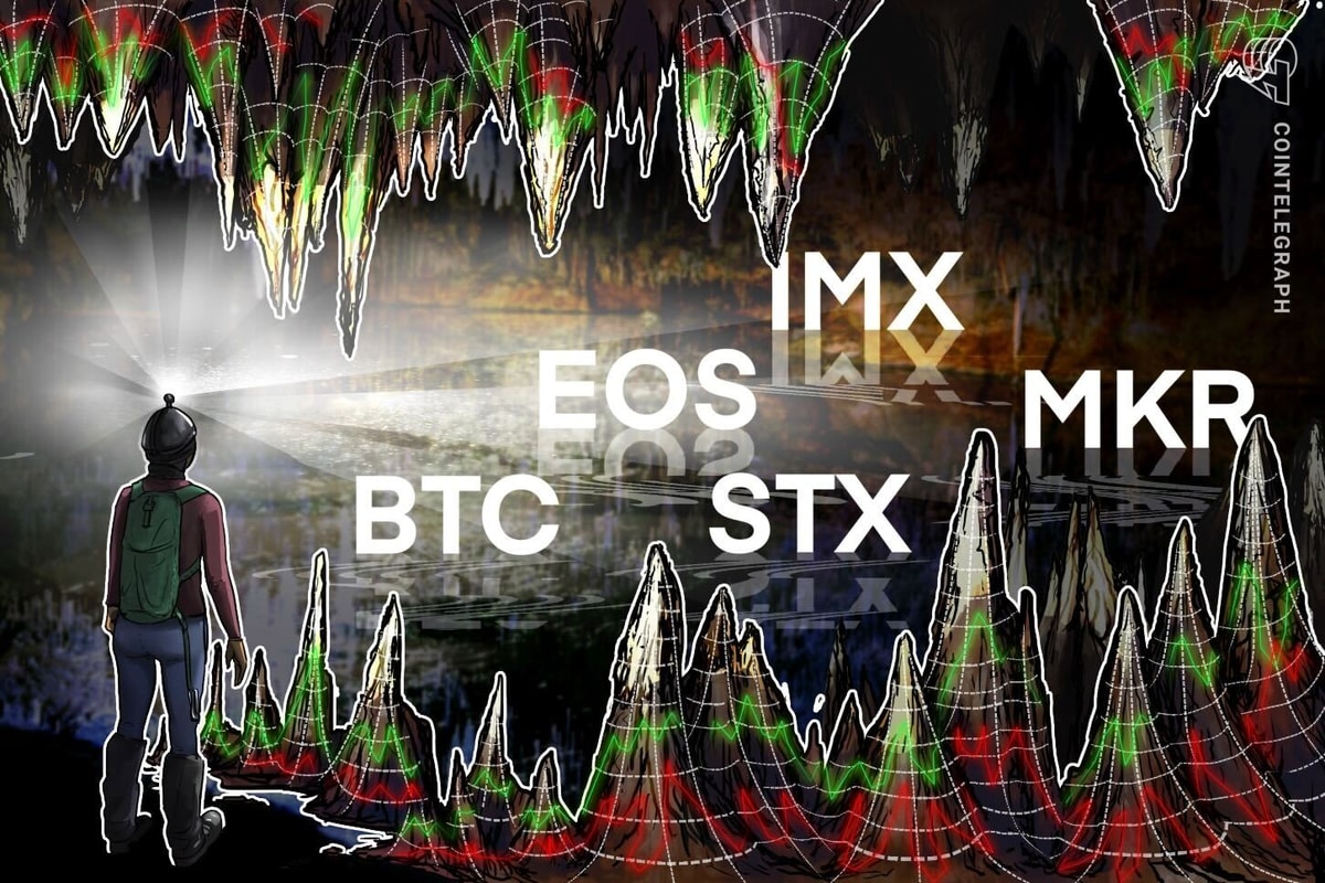 pol_1189's tweet photo. EOS, STX, IMX and MKR show bullish signs as Bitcoin searches for direction / https://t.co/WWKbPJ2PrY / FOLLOW @jett_nagar FOR MORE NFT NEWS https://t.co/TA9GVbXK5o