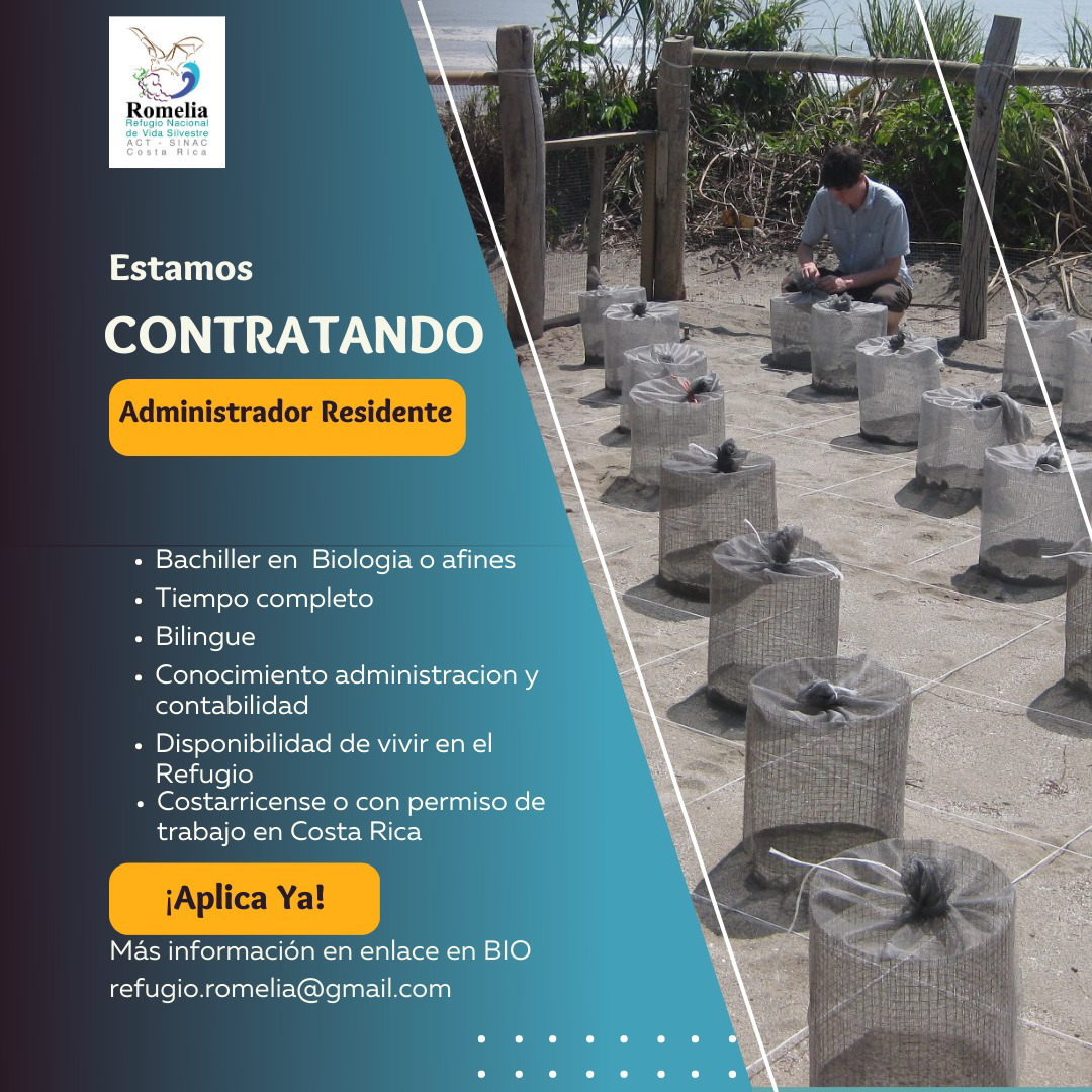 RefugioRomelia's tweet photo. Estamos contratando!

Perfil Administrador(a)  Residente 
Refugio Nacional Mixto de Vida Silvestre Romelia(RNMVSR)

Para más información ve al link en nuestra BIO. #job #position #trabajo #trabajosencostarica #biologos #manejoderecursosnaturales #Administradora #ofertadetrabajo # https://t.co/bQVCehSY7h