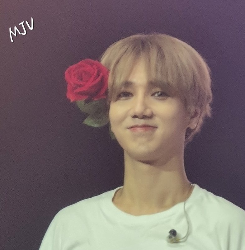 Jazzcloud_'s tweet image. #elfselcaday 
Life is always like a domino
And everything collapses when someone touches it
Then let's hold each other so that we don't fall
If I were a flower
You'd be the sunshine on a sunny day for me
Then I'd only be looking at you🎶🌸🫣🌹