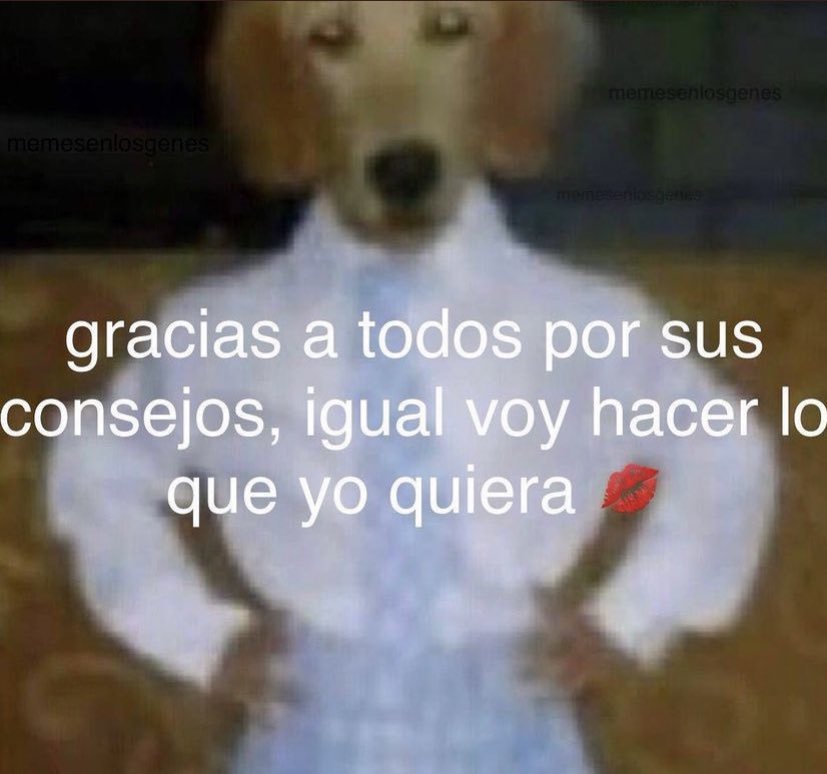 karlarboledas's tweet photo. yo despues de pedirle 50 veces consejo a todas mis amigas sobre el mismo tema https://t.co/9G7FrTvoUV