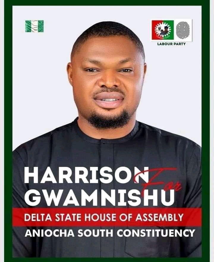 VeryDarkPheno's tweet photo. This is the guy against okowa’s daughter the guy has been with the youth ever since let’s send the baby girl to her father they deserve rest  vote LP all through @AishaYesufu @FS_Yusuf_ @Mr_mkpomo @PeterObiUSA @PeterObi https://t.co/bE33JJGKbQ