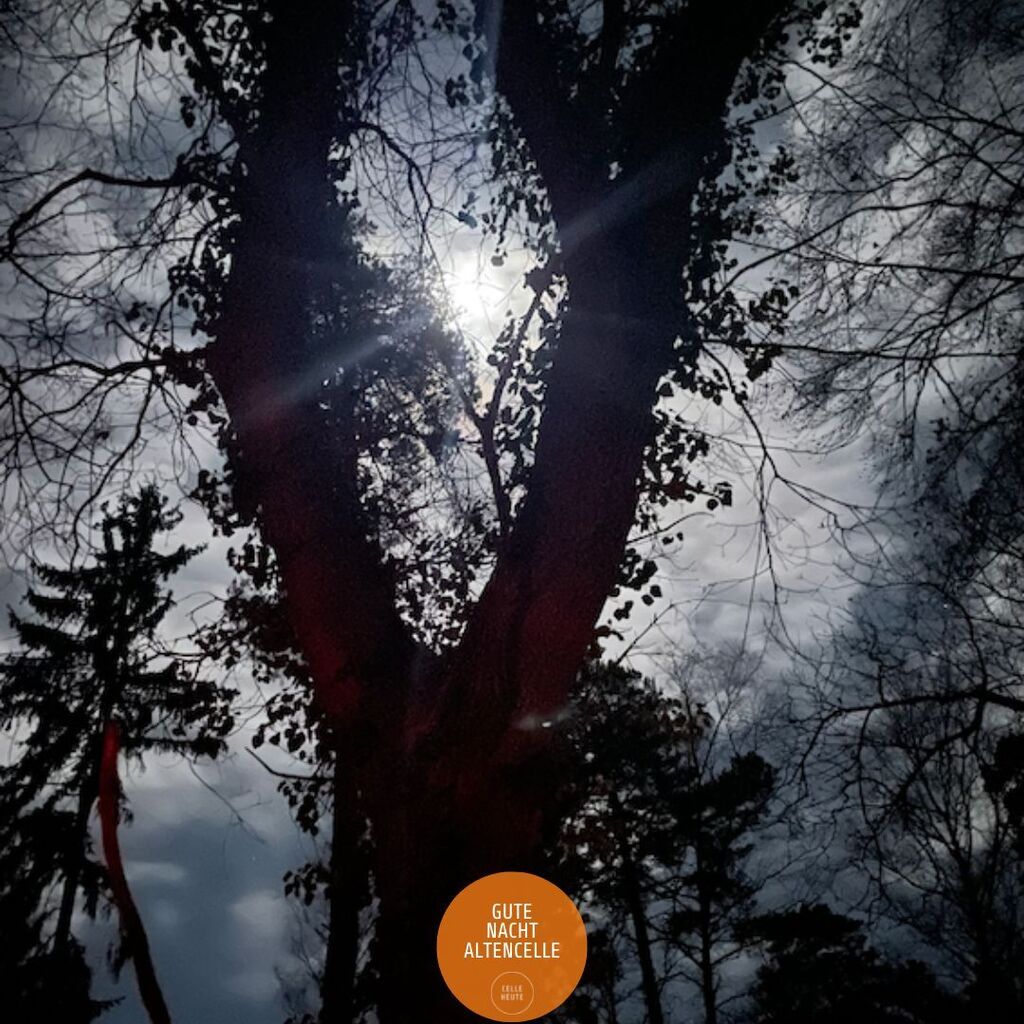 CelleHeute's tweet photo. Einen beinahe mystischen "Nachtgruß" schickt uns Stefan Engler, vielen Dank. 

#leserfoto #altencelle #celle #celleheute https://t.co/MsKHqjiHNb https://t.co/XDvPndoTOn