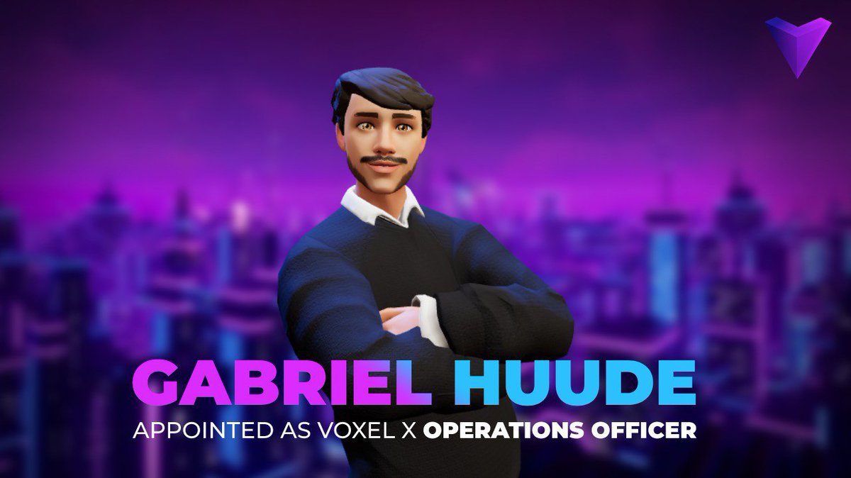 Voxel X Network tweet media
