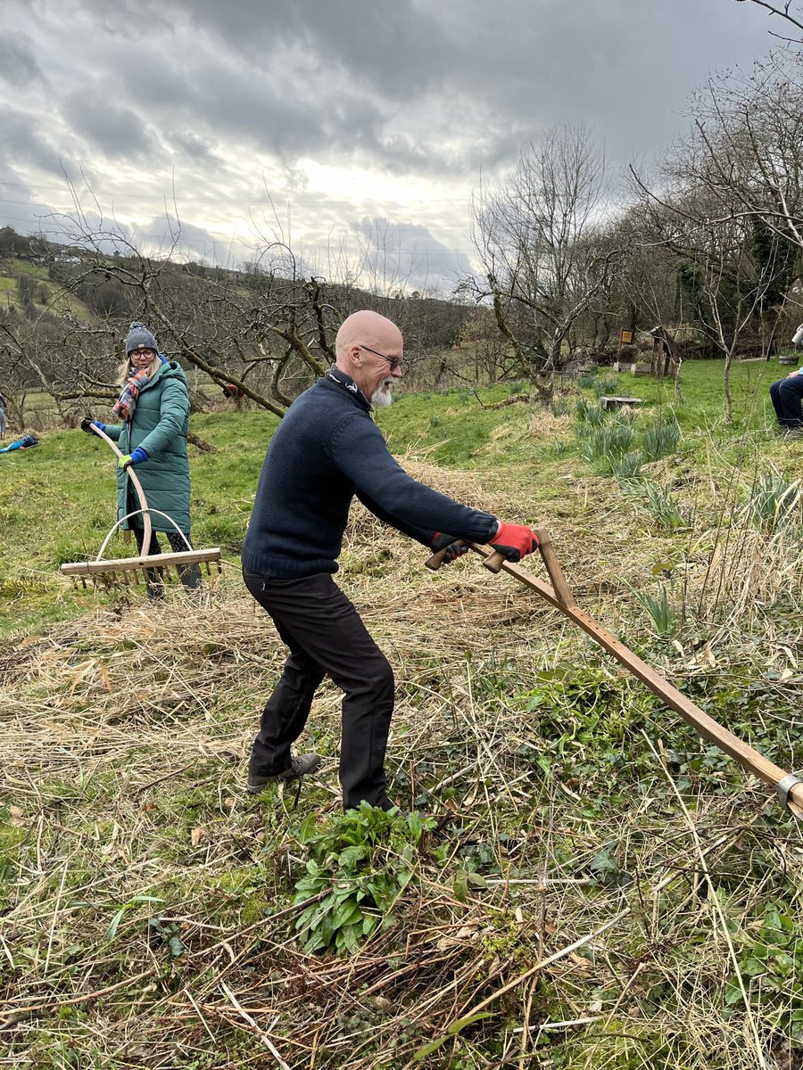 Holly Mount Orchard tweet media