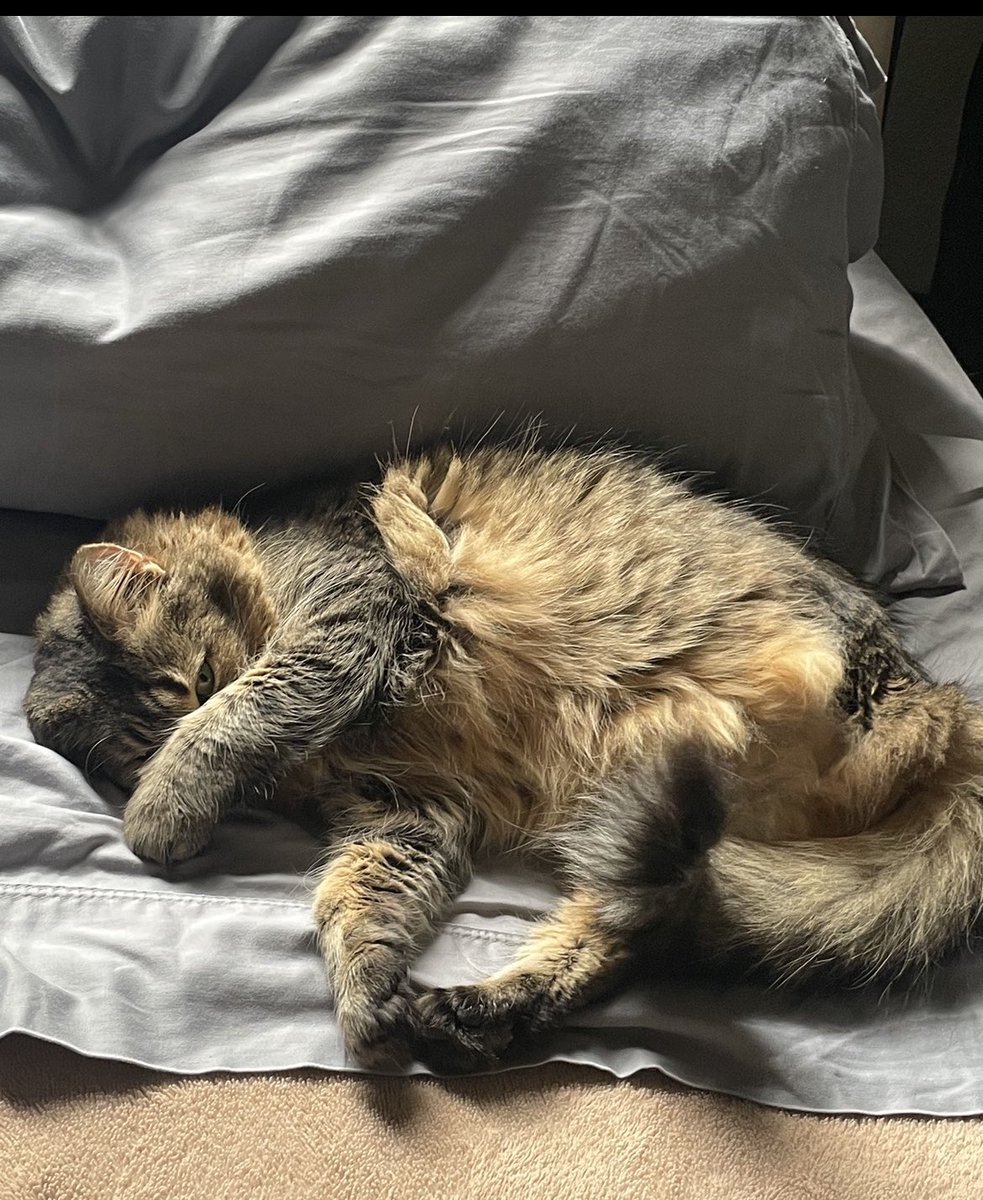 nine0hfour's tweet photo. Sleep with one eye open https://t.co/rXxGVHrSOj