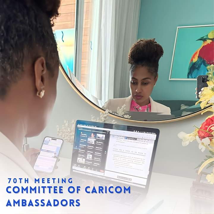 I was honored to serve as Chairperson of the CARICOM Committee of Ambassadors (CCA) 70th Meeting, as the Bahamas prepares to Chair the CARICOM. I am looking forward to meeting and engaging with other members of state while important issues affecting the Caribbean nations
#CARICOM