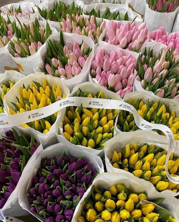bouquets of tulips.