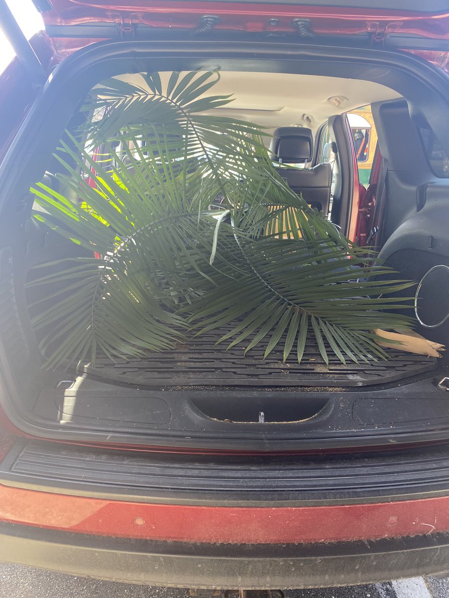 Littof's tweet image. Spent most of the weekend staging our new listing. Today we started with a trip to Ikea to get a plant and other odds and ends. We named the plant, Raven. We are so excited for pictures tomorrow! #realtorlife #agentsofcompass #newlisting