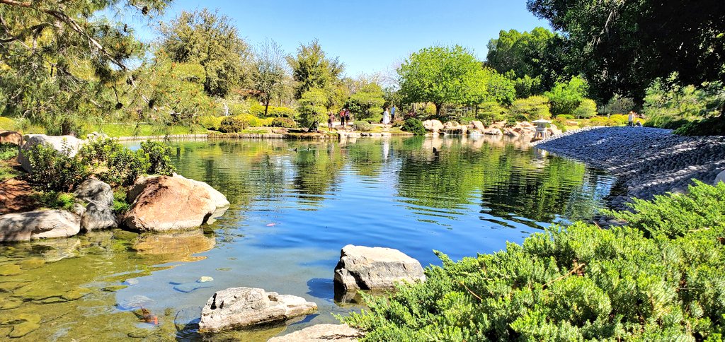 Ahmed B Al-Khafaji MD tweet media