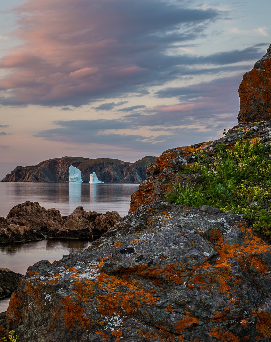 RayMackeyNL's tweet photo. Twillingate, Newfoundland and Labrador. #explorenl #exploreCanada #Newfoundland #Canada https://t.co/TVLgXce0XB