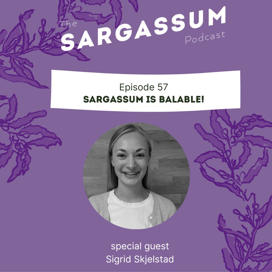 SargassumP's tweet photo. ❇ Meet our GUEST: Sigrid Skjelstad   

Sigrid Skjelstad has a Masters in materials science from the Norwegian University of Science and Technology and works as a business developer at Orkel AS. 

Learn about Sigrid’s work by watching or using the link below! https://t.co/HoZsgMp5E9