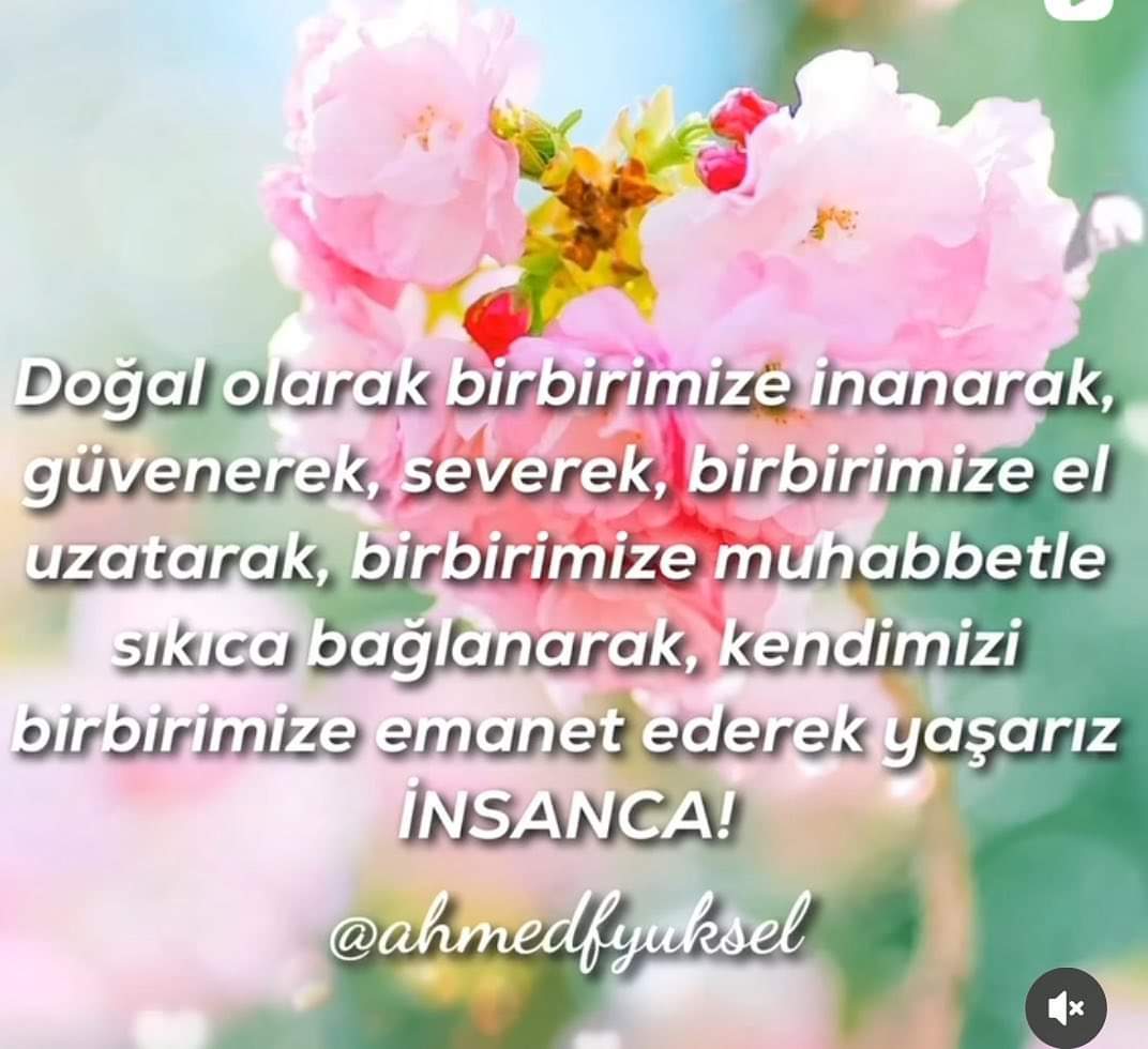 VahdetiVcud's tweet photo. #Depremler #Zorgünlerde #afetler
#Doğalolarak #inanarak #severek
#güvenerek #eluzatarak #sarılarak
#muhabbetle #insancayaşamak
#ahmedfyuksel @ahmedfyuksel https://t.co/g4Wf9ZDCSY