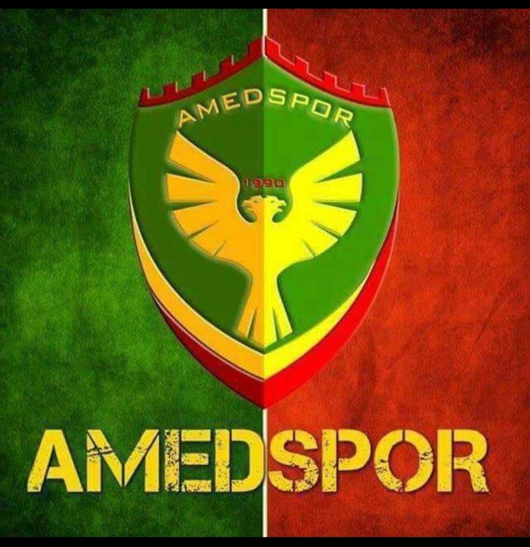 #Amedsporyanlızdeğildir