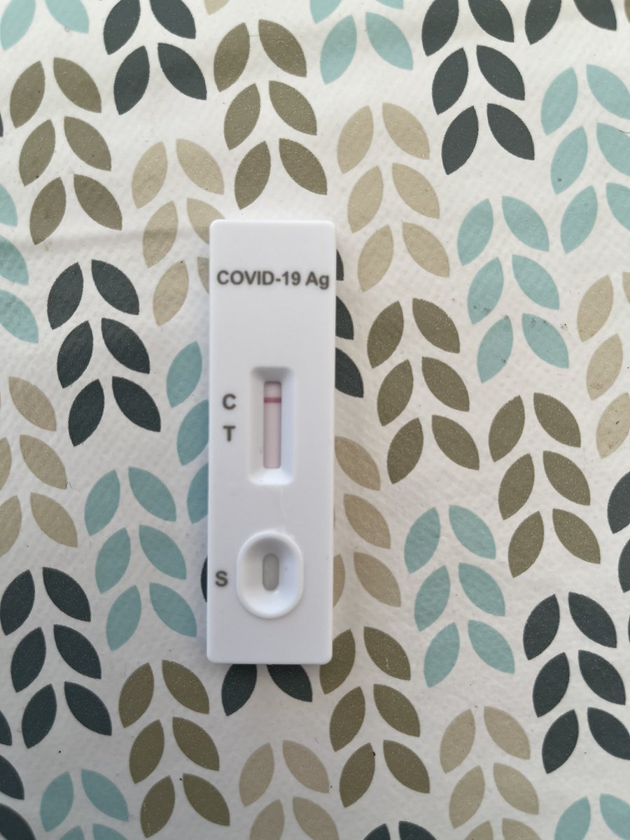 WendyBI #SafeSchoolsForAll @WendyBI tweet media