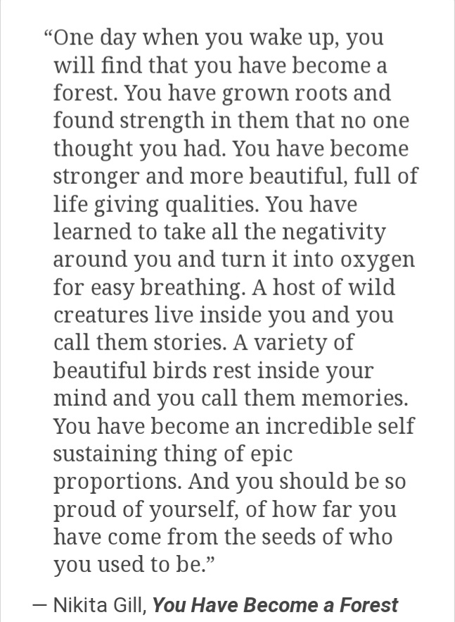 Carmen Salas (@carmenalpha) on Twitter photo 