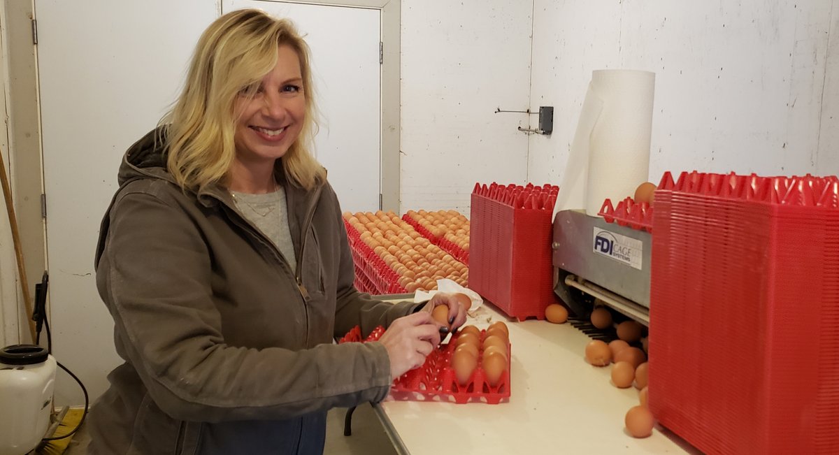 bceggs's tweet photo. Did you know that Canada-wide there are 77,830 female farm operators? They make up 28.7% of farmers across the country and that percentage is on the rise! https://t.co/8TjDJpmFlB