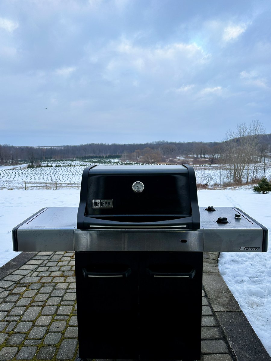 40° is warm enough to grill, right?
#IsItSpringYet