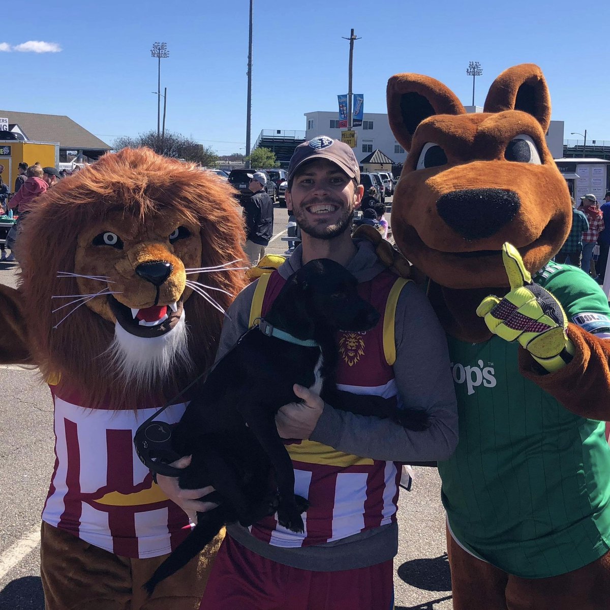 VAfooty's tweet photo. Yesterday we introduced our new club mascot to the world ๐ช๐ฆ
@ #NutzysBlockParty ! ๐๐#ExcitedToBeInvited ๐ #HaveFunn #GoNuts ๐ฅ๐ฟ๏ธ
(& we thought it went very well - thank you @GoSquirrels!)
Now we just need to name #VirginiasLion ๐คท๐ปโโ๏ธ Any ideas? #ThePrideOfVirginia #VAfooty https://t.co/86ApwSLumA