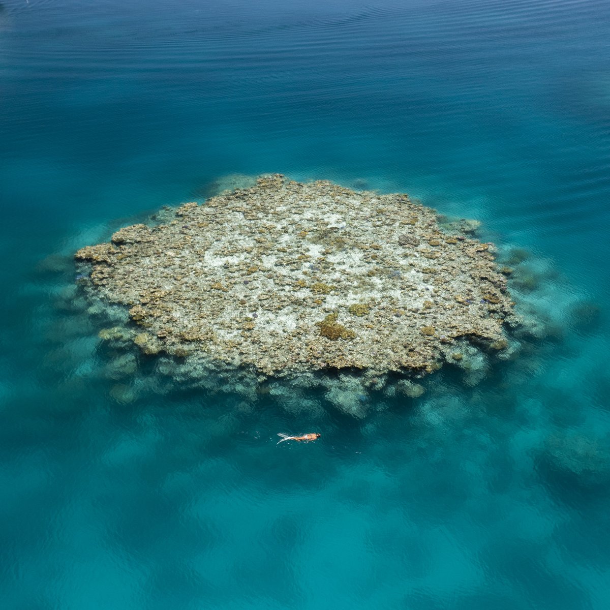 The advent of TRUE NORTH II means that we still have cabins available for departure in 2023 and, cabins remain available in different classes over multiple departure dates. TRUE NORTH II generally represent a 25% saving when compared to the TRUE NORTH.