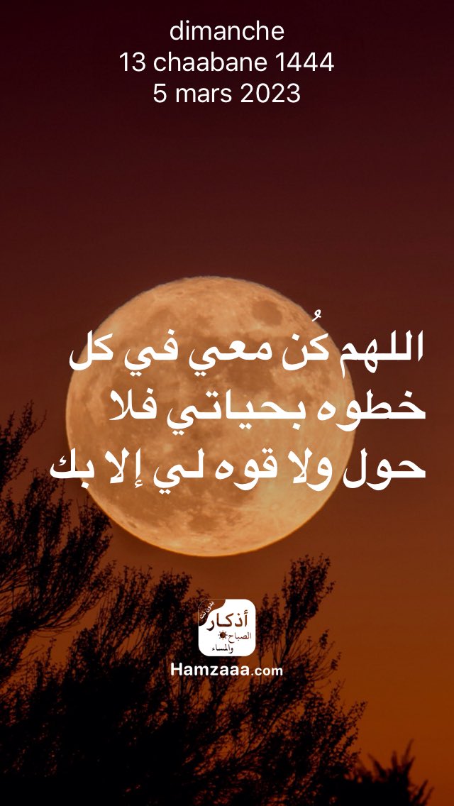 davidkamel tweet media