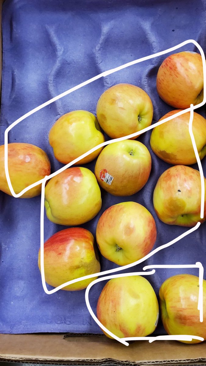 Jenna Denton tweet media