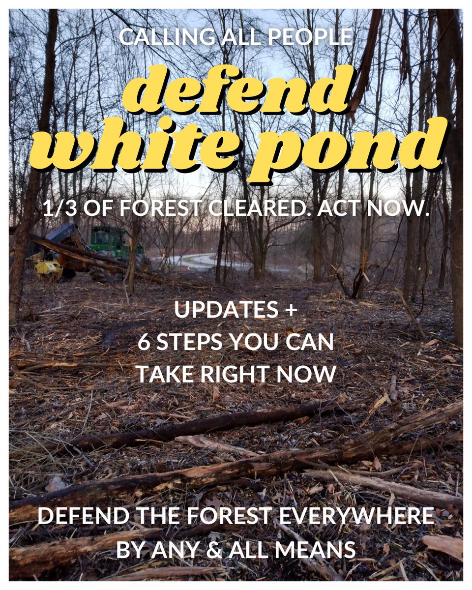 STPAkron's tweet photo. defend white pond🌻🐿🦝🐇

the birds, the bees, the wetland &amp; the trees need you

from atlanta to east palestine to akron, we must fight back against attacks on our life sustaining environments

people &amp; planet have a right to resist annihilation by any &amp; all means

#akron https://t.co/NlAQuEbFbA
