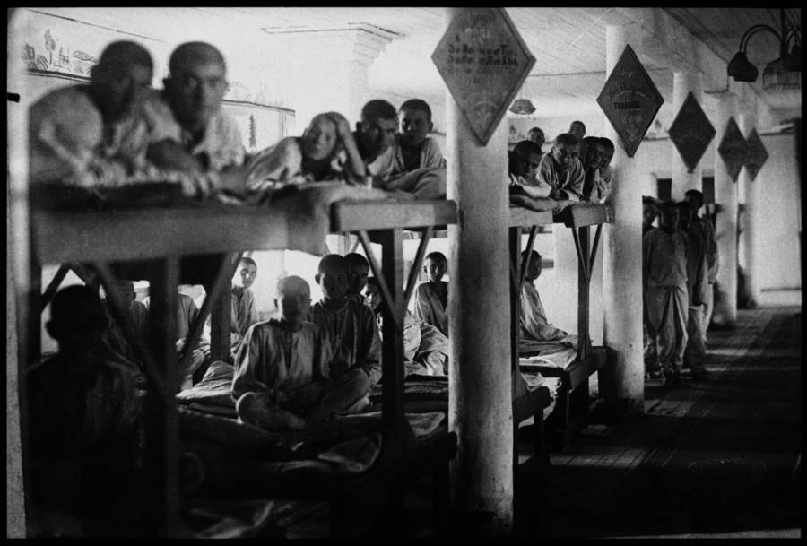 Há 70 Anos, Num 5 De MarçO De 1953, Morria Josef Stalin 35