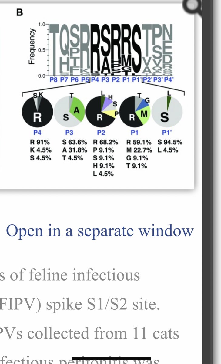 theyareus2's tweet photo. @KeithEv84928885 @sanchak74 4/ 

the A in the Sequence 
has been changed by Pfizer from GCA to GCC
Why? 

UCC is Serine -(only one mutation away) if left at GCA it would take 2 mutations to get to S 

In FIP,  there is often an S to A change - the 2nd/ 3rd nt of the codon don’t change but the first does https://t.co/mZm0AVdDWX