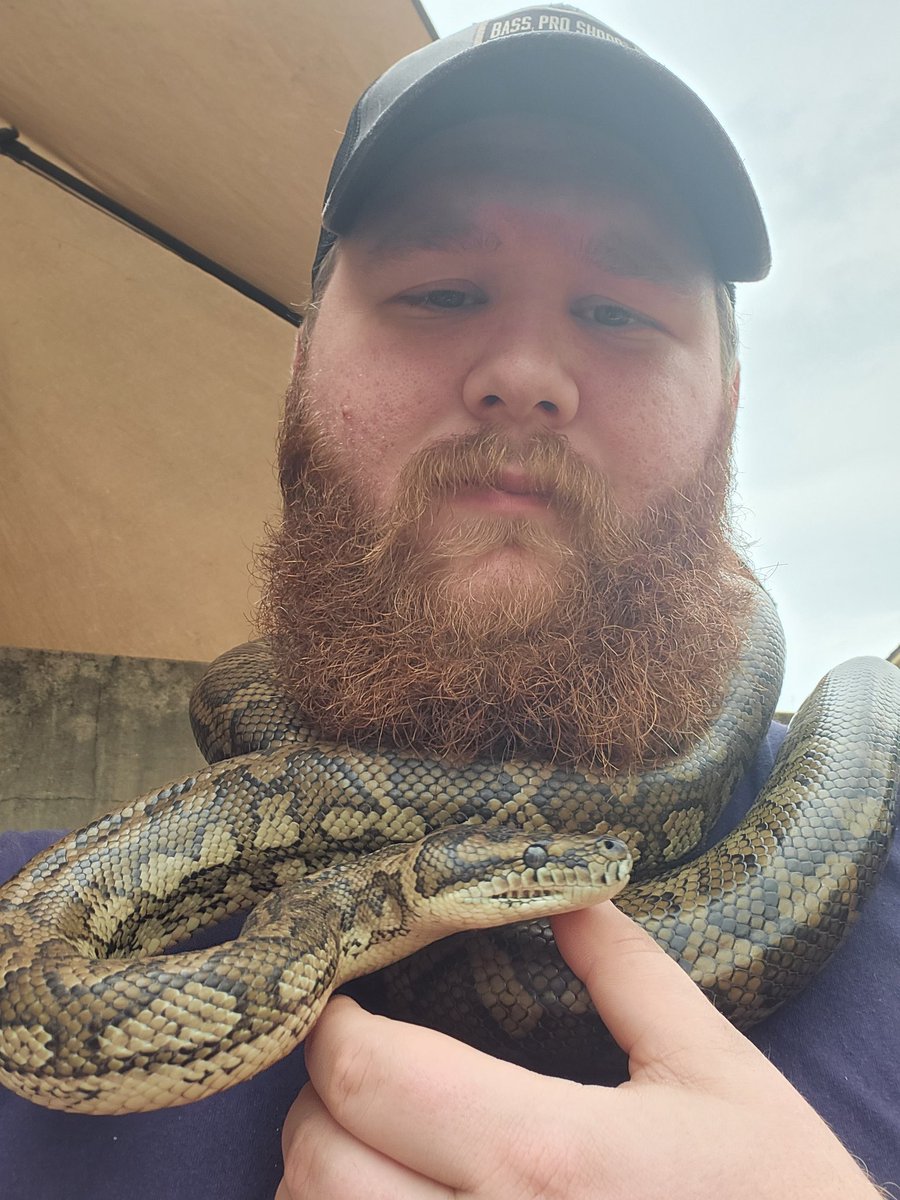 Found this cuddly little creature in the backyard. Not sure what kind o dog it is though