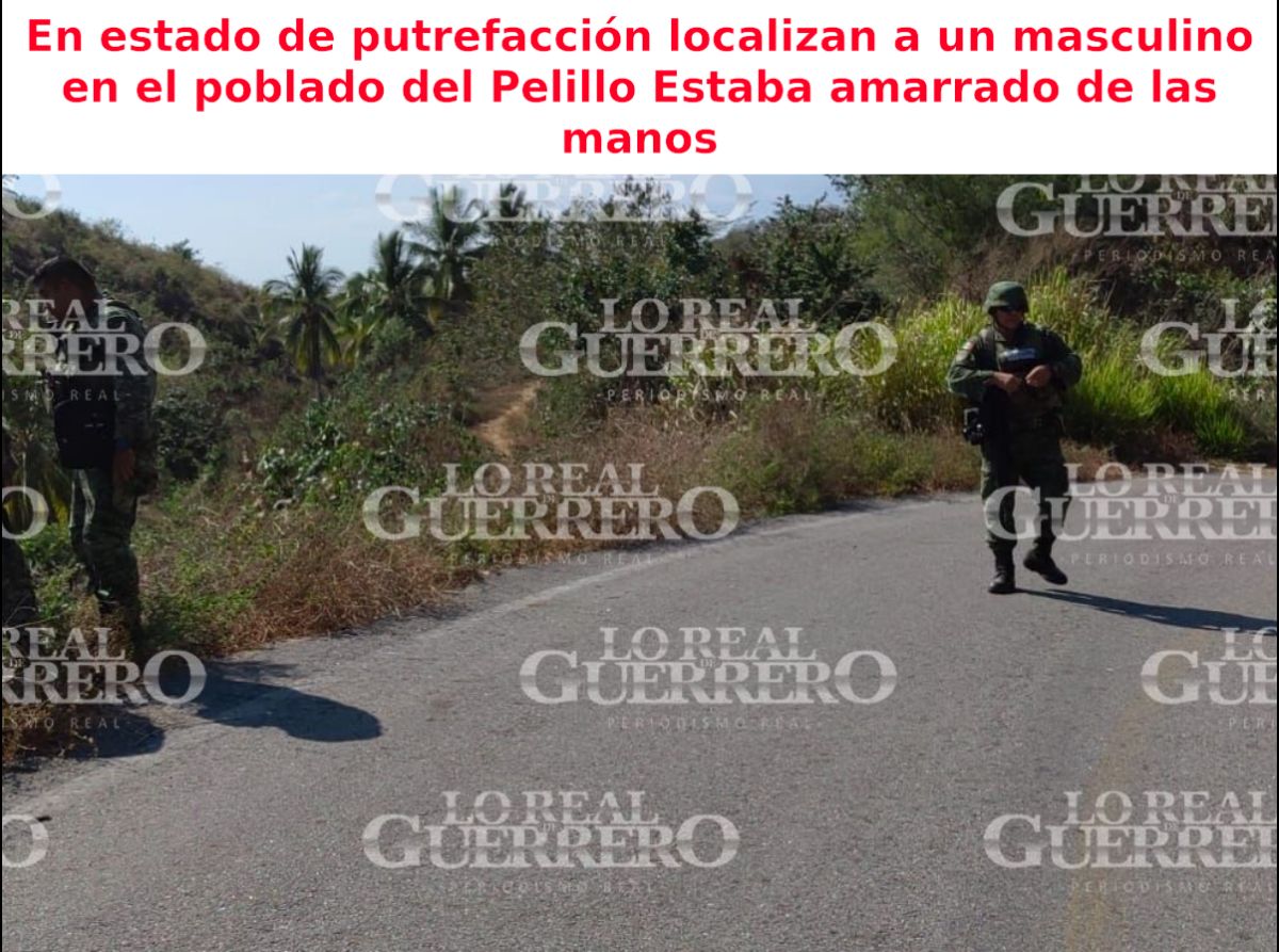 En estado de putrefacción localizan a un masculino en el poblado del Pelillo 

Estaba amarrado de las manos

Informacion con fotografias: bit.ly/3mroLJx