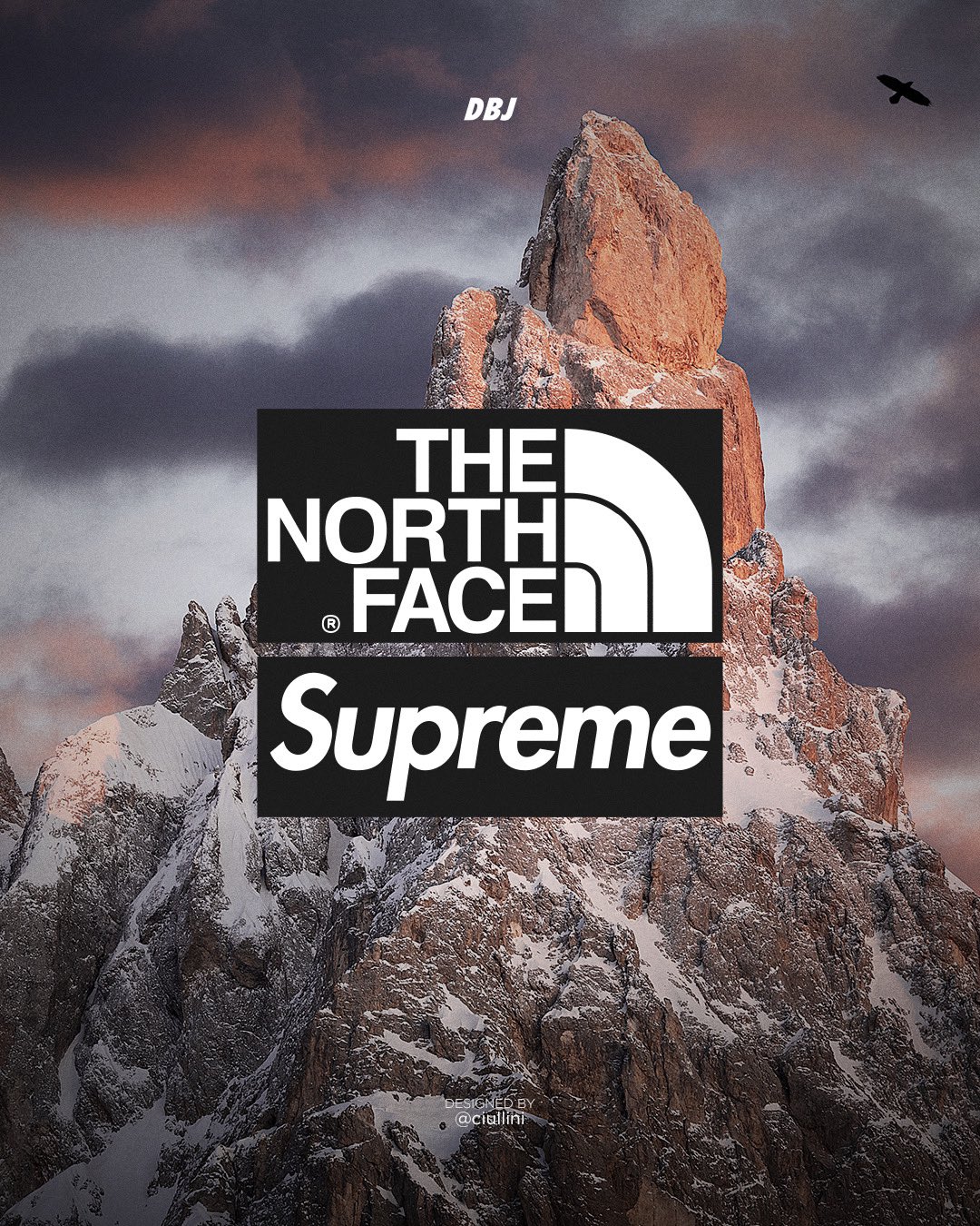 Supreme north face logo deals