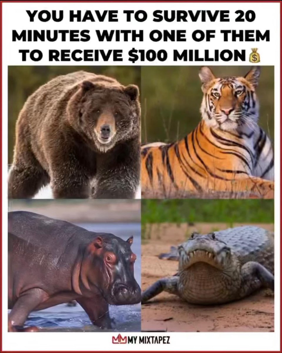 Unbreakable Kicks tweet media