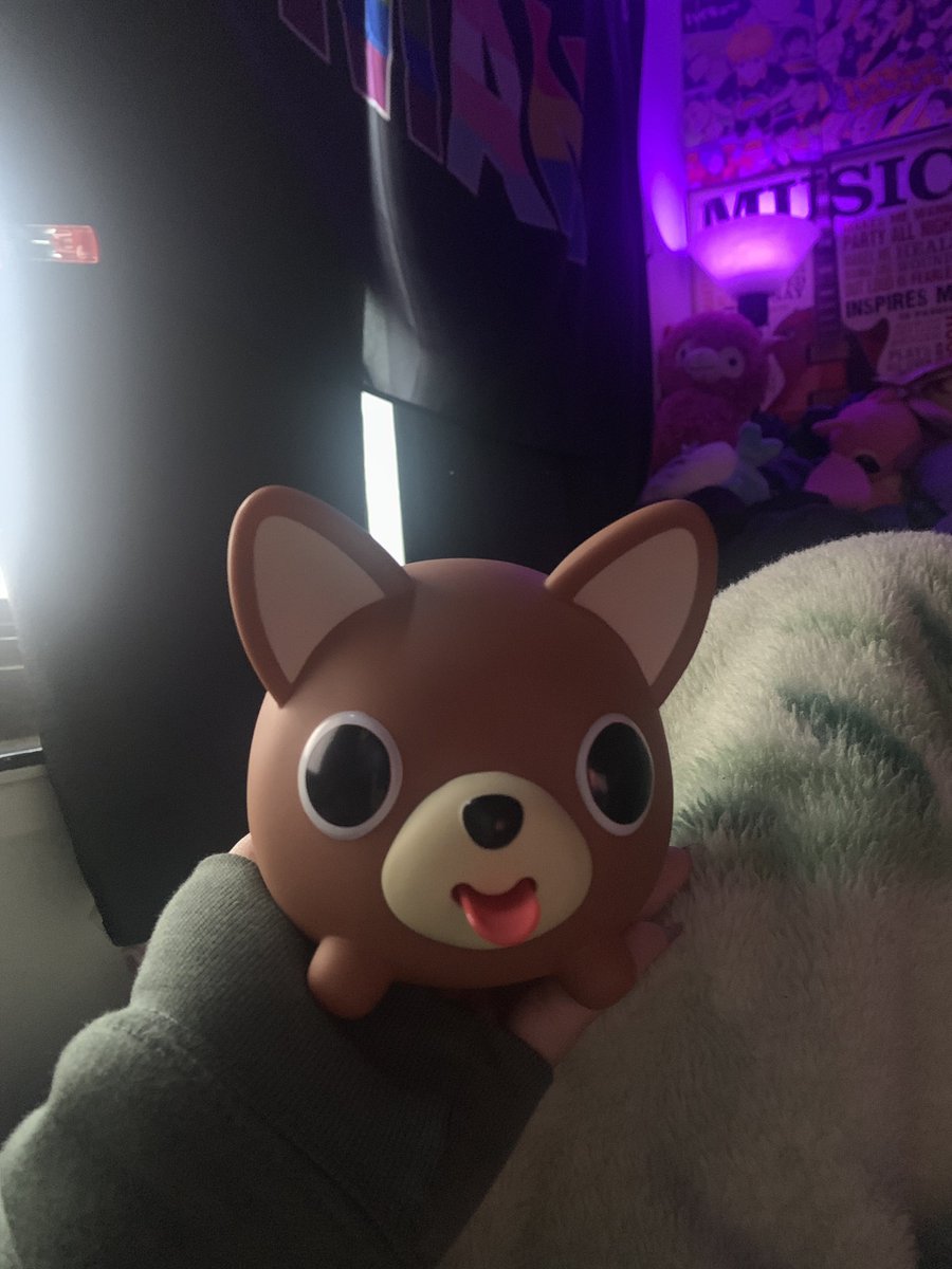 lovesickmochi's tweet photo. meet toast <3 https://t.co/vmps512Jbr