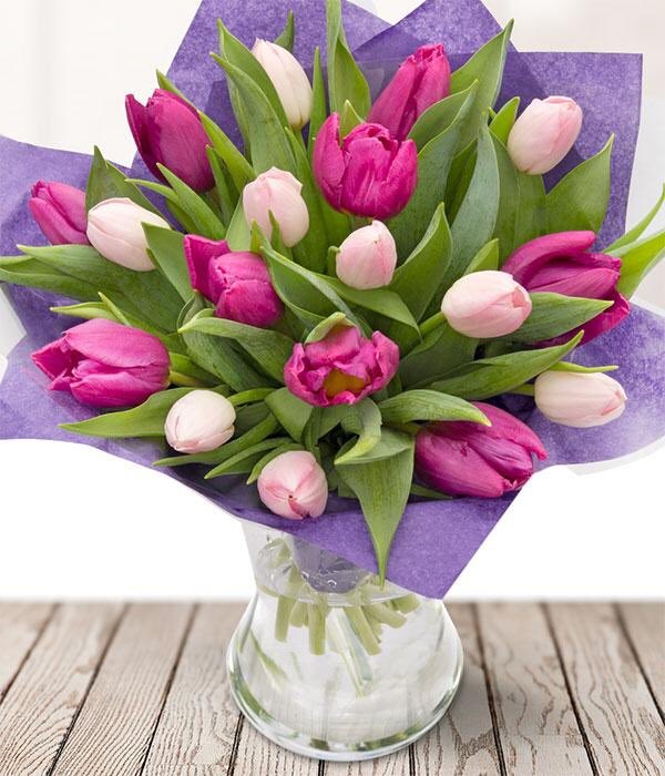 AnneFlorist's tweet photo. We just love the simplicity of tulips 💐 we have some beautiful ones in stock #flowers #Naas https://t.co/0l2DONNIm9