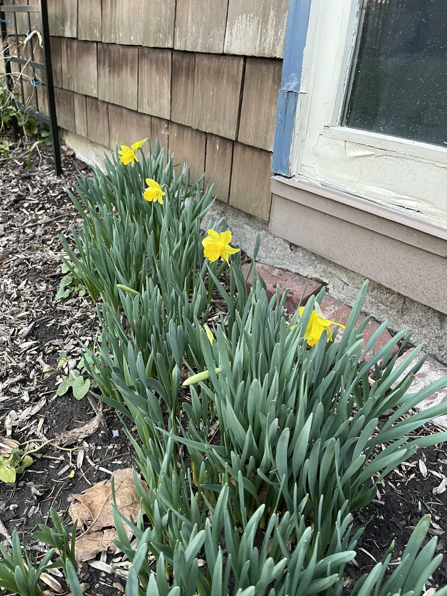 Amberley Felter tweet media