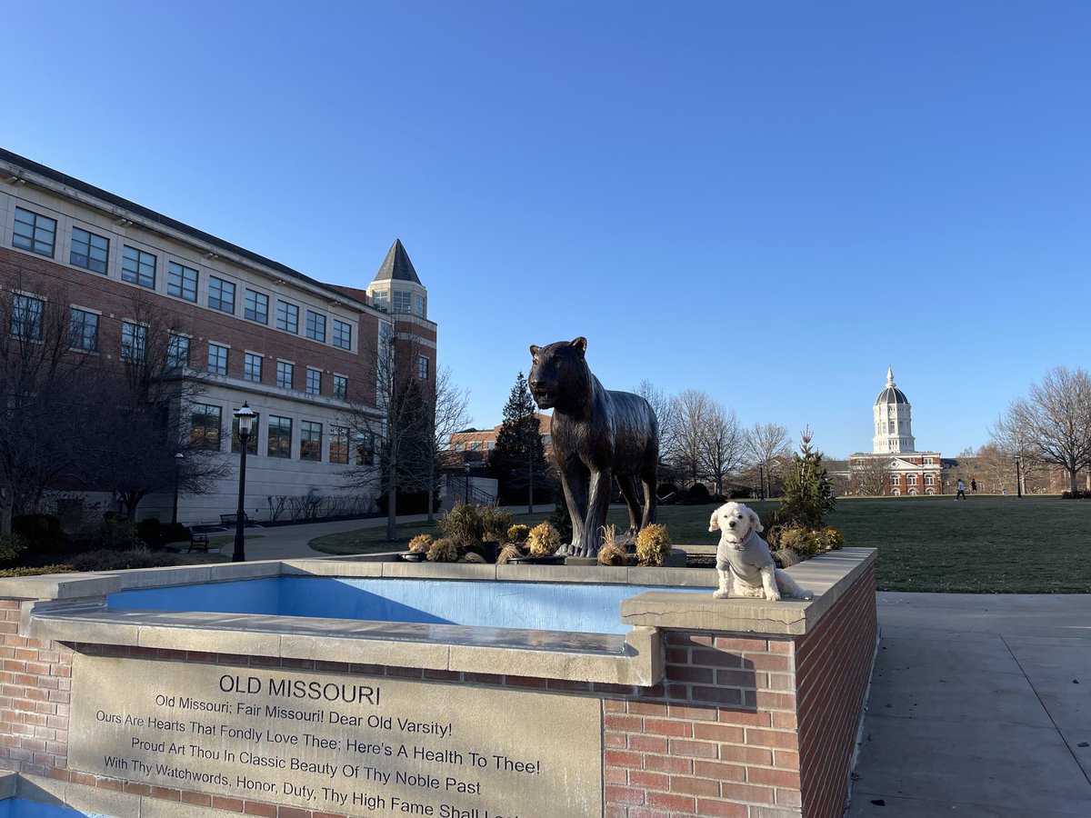 vairama's tweet photo. We are honored to hereby announce the arrival of Spring at ⁦⁦@Mizzou⁩! https://t.co/JeS1c5A2Rs