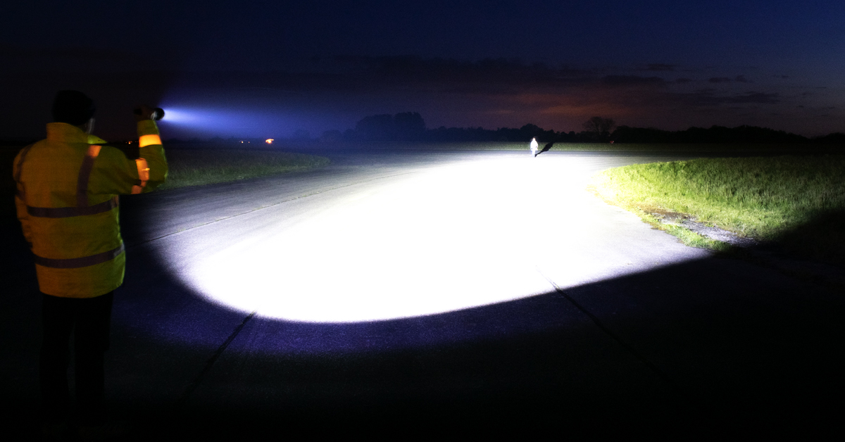 NightSearcher's tweet photo. Everything is all bright! The tactical Magnum 11600 professional flashlight has a 525m ultra-wide flood beam. Ideal for search & rescue, emergency services, rail or security workforce. 3hr runtime on high! Robust aircraft grade aluminium IK07.
#tactical #flashlight #creeled https://t.co/cLeTMzw67i