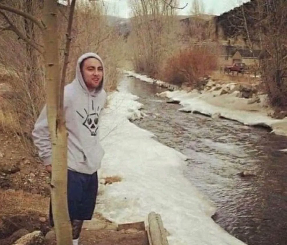 GeniusPothead's tweet photo. Stoners be like "I know a spot" and take you here https://t.co/ceallAzYBm