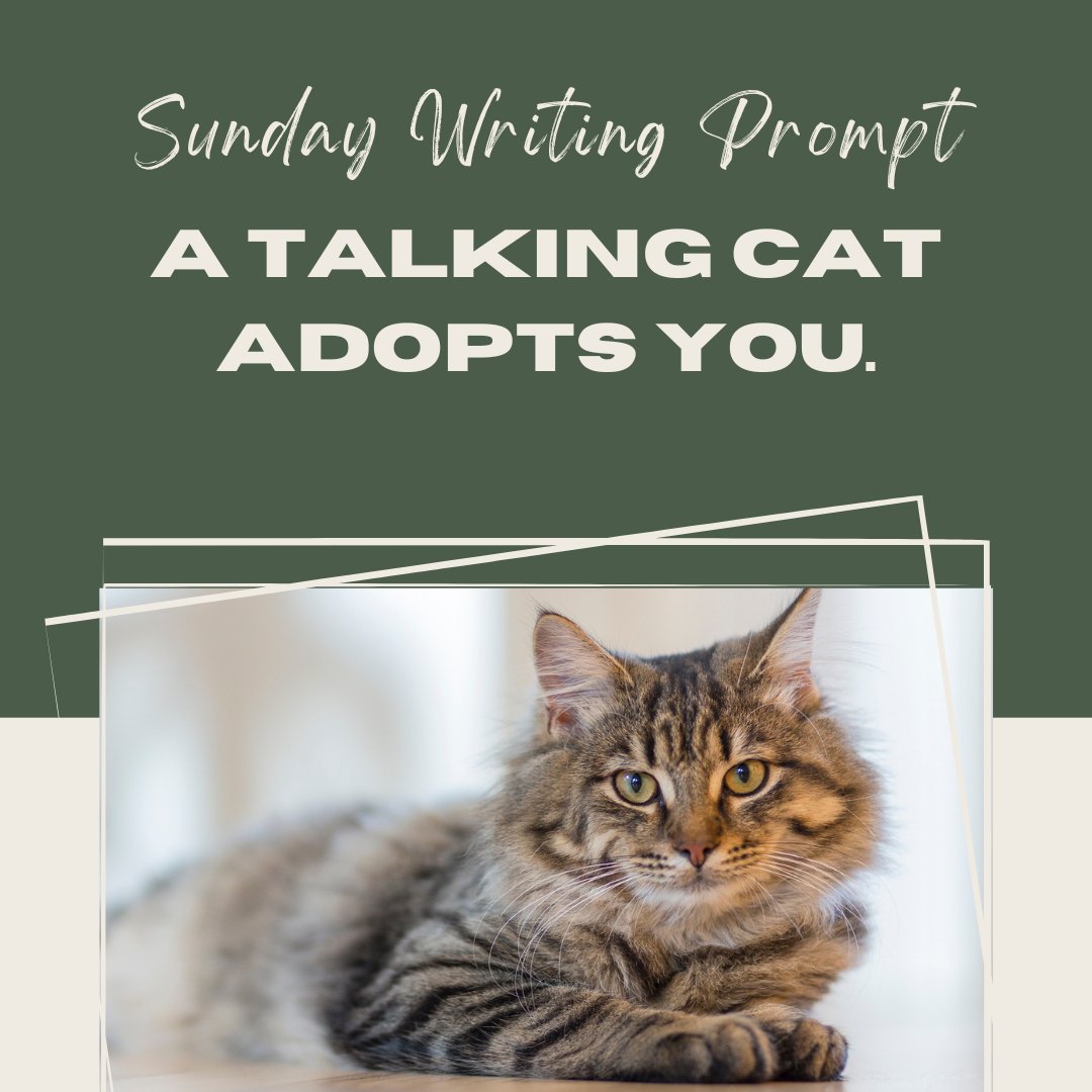 WritingBlocPub's tweet photo. #WritingPrompt #SundayWritingPrompt
Bonus points if you post a snippet in the comments! https://t.co/NAAT116qc6