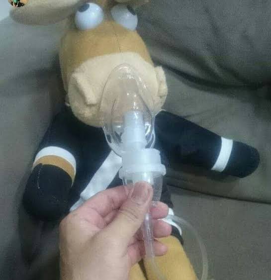 Vascaínos agora