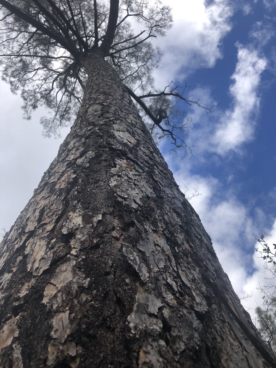 I’m so thankful the forecast changed. It was cloudy at the start but the sun did make a welcome appearance. I was way overdue for time in the sun and a walk on dirt.