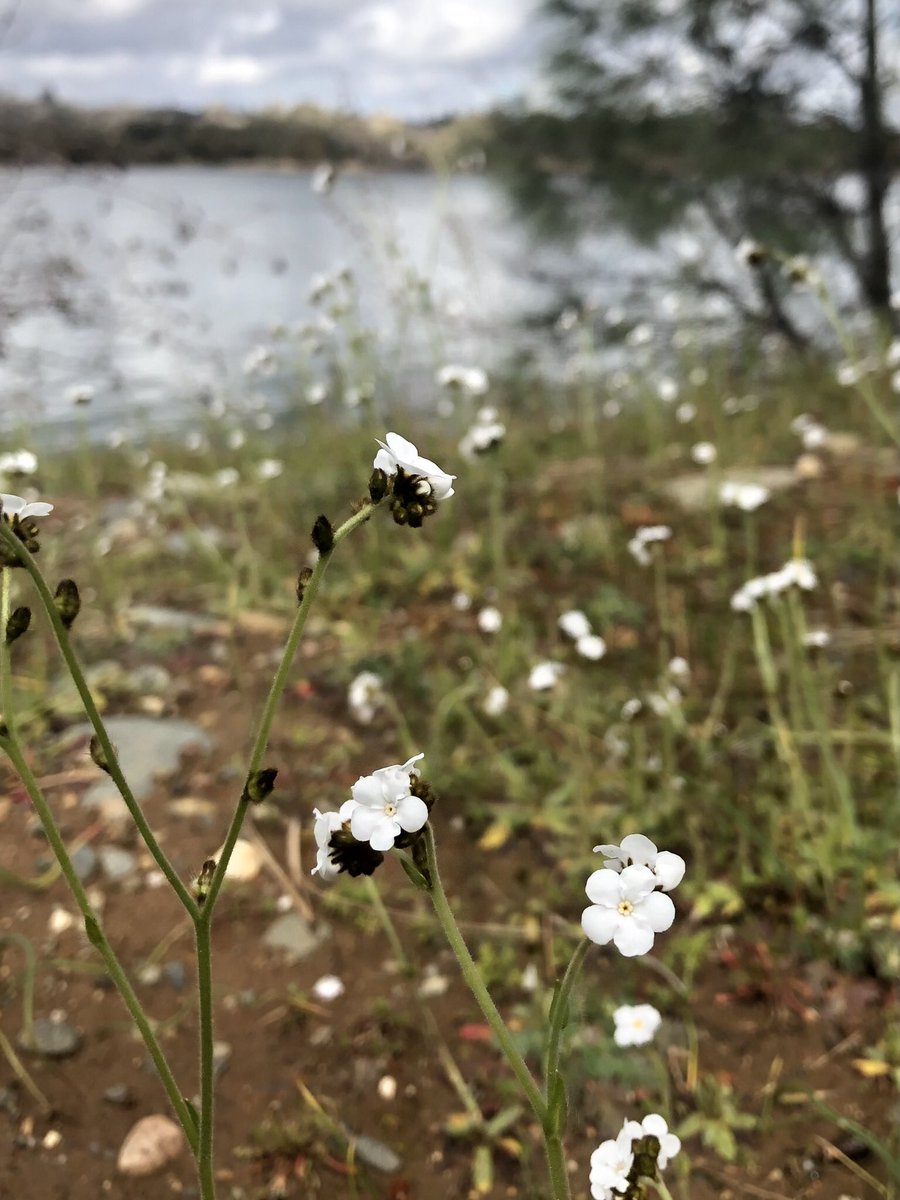 AnnaCullifer's tweet photo. I’m so thankful the forecast changed. It was cloudy at the start but the sun did make a welcome appearance. I was way overdue for time in the sun and a walk on dirt. https://t.co/jE8rj1bbR3
