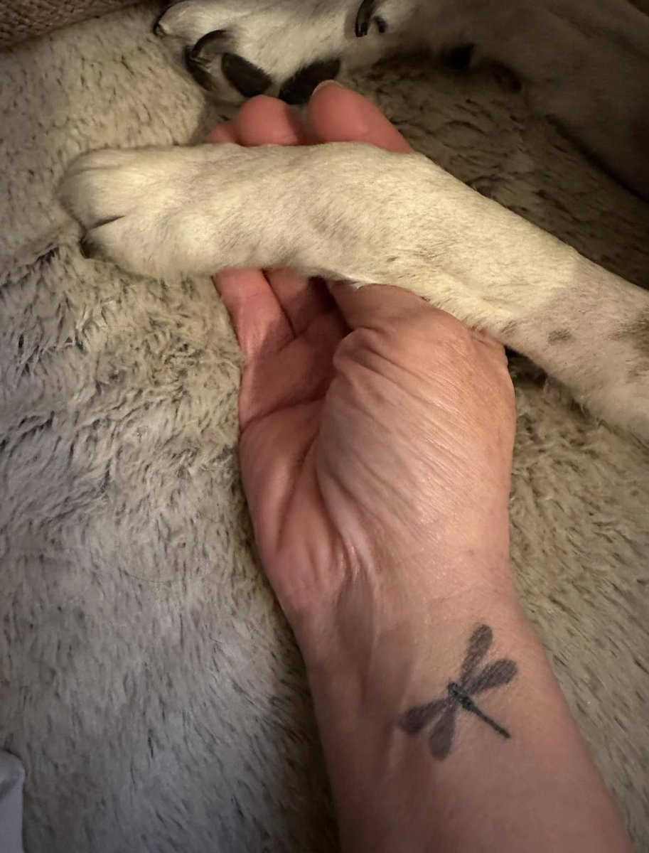 in between the words goodbye and I love you is where you will always be ❤️