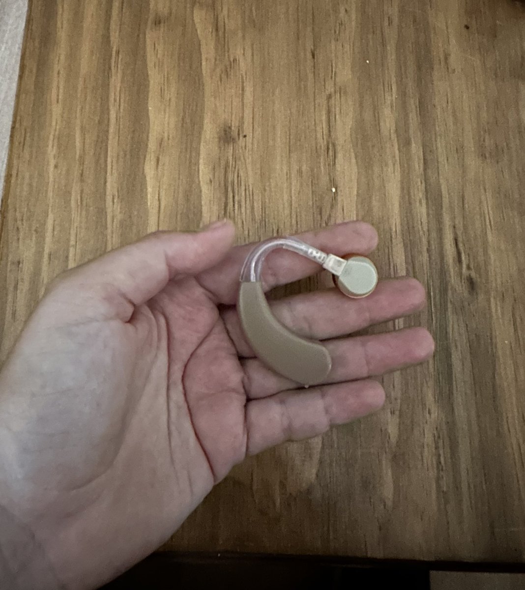 RootGr0ves's tweet image. Twitterland vengo a solicitar de su colaboración: En el parque bicentenario de Cerillos me encontré este audífono ortopédico tiene el código 220. Ayúdenme a encontrar al dueño que probablemente lo necesite mucho.