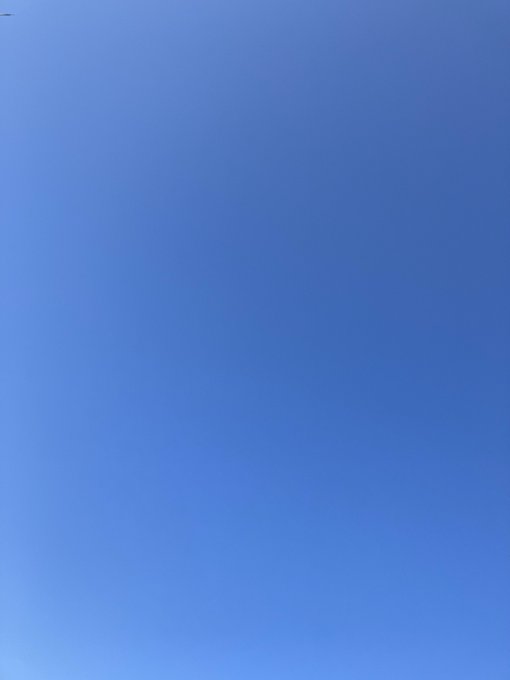 今日の空、青しか無い。 