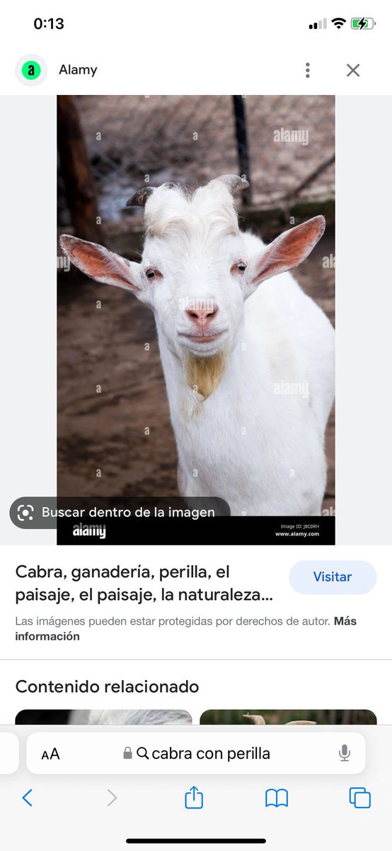 luuu🦂 tweet media