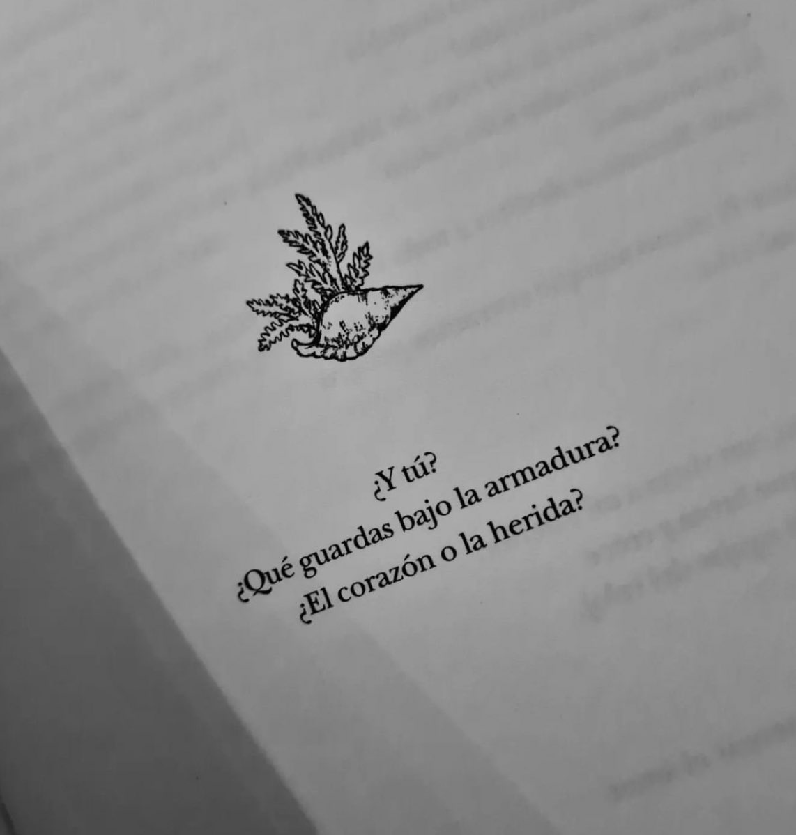 Cementerio De Libros tweet media