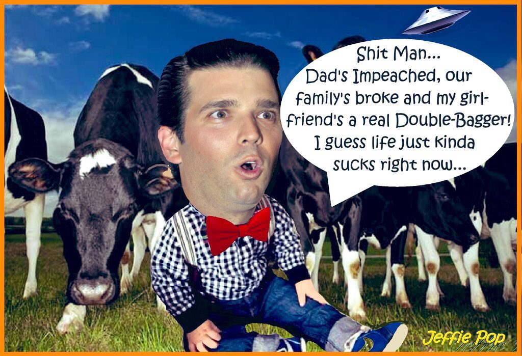 KennyKool100's tweet photo. @DonaldJTrumpJr #TrumpIsGuilty #TrumpCrimeFamily https://t.co/8uC8WXb3lu