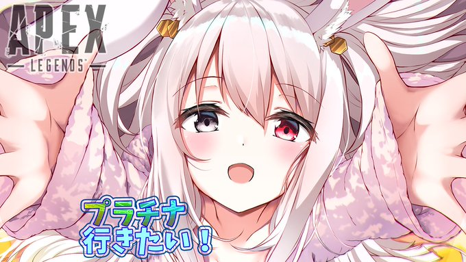 80/20クロス とぅわいすさん【専用】 | terepin.com